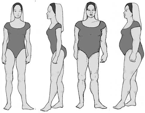 Body Types - Android Type