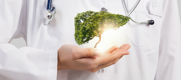 Liver and Gallbladder Health