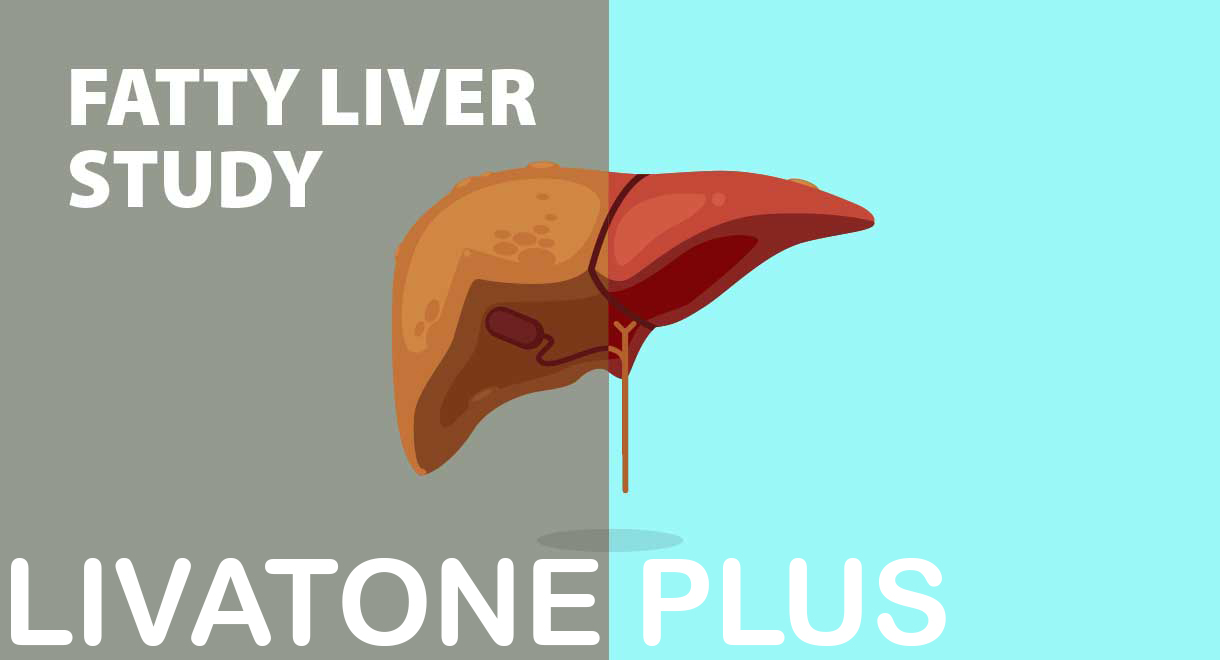 Fatty Liver Study
