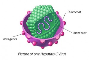 Liver-Doctor-Hepatitis-C-Virus