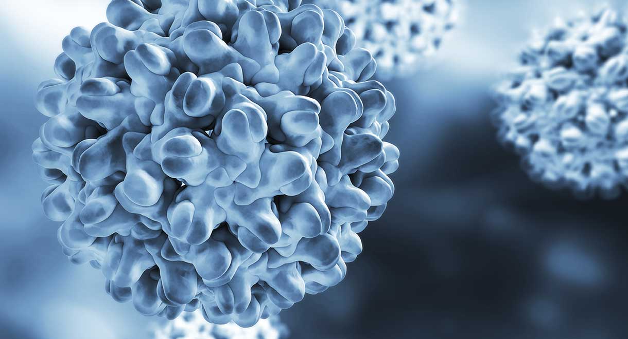 Hepatitis B Linked To Pancreatic Cancer