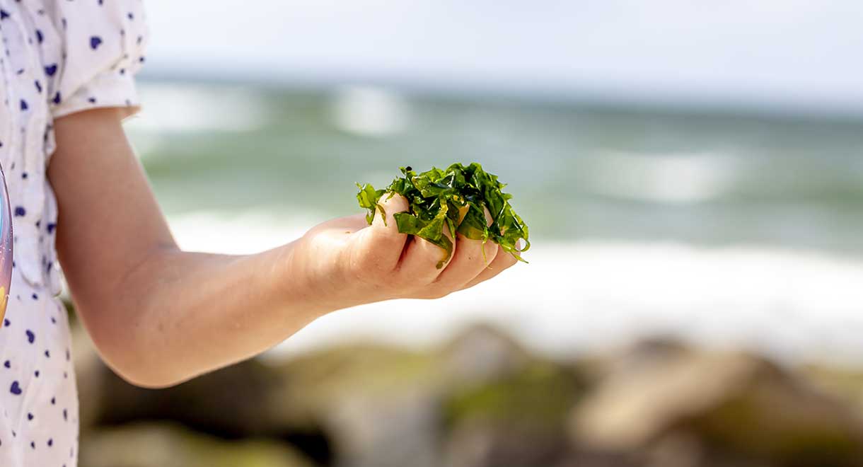 Don’t Underestimate The Power Of Iodine