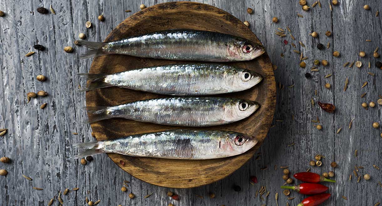 Omega 3 Fats Are Critical For A Healthy Brain