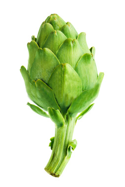 Creamy Artichoke Soup