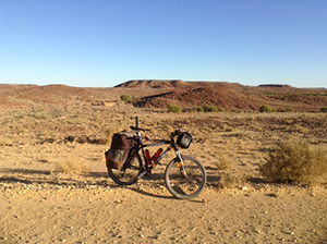 I'm convinced that a low carb diet is the answer