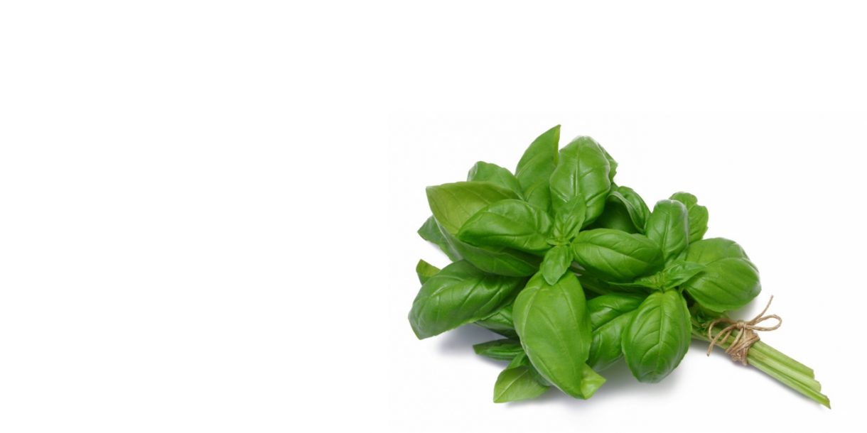 Easy basil pesto