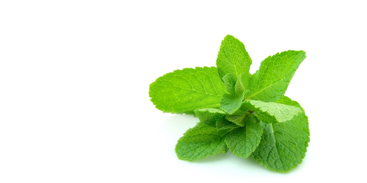 Raw juice for healthy digestion