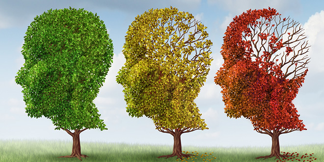 Fish oil may prevent your brain from shrinking