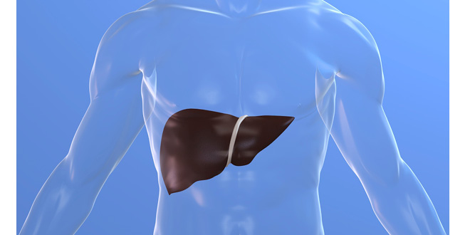 What can you do to protect your liver?