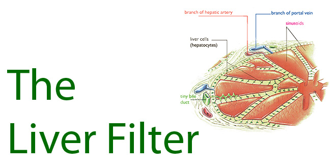 How healthy is your liver filter?
