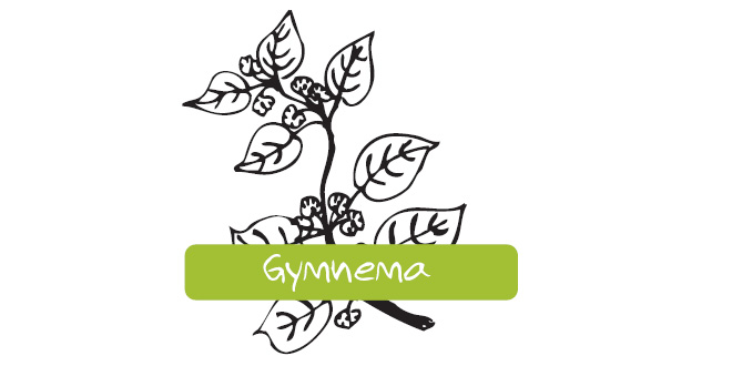 Reduce your sugar cravings!