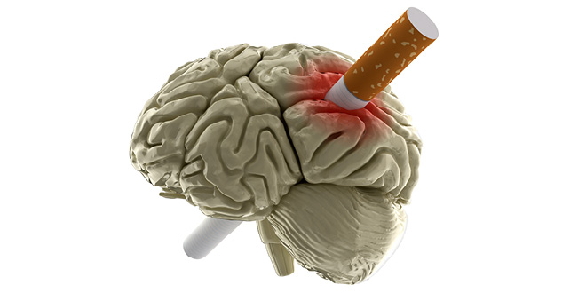 Smoking can shrink your brain