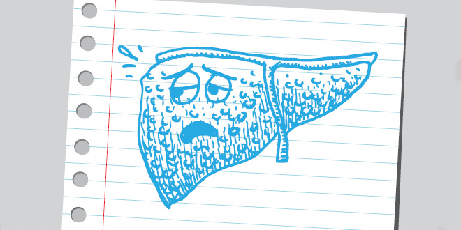 A healthy liver is crucial to weight control