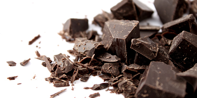 Chocolate is a prebiotic