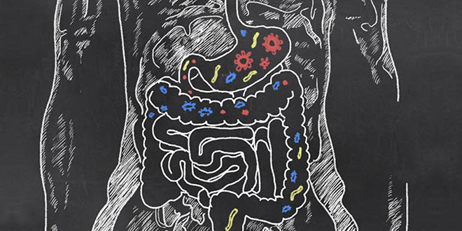 Can Your Gut Bugs Make You Gain Weight?