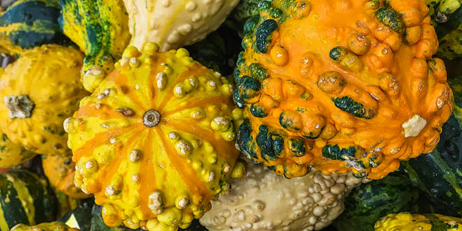 Ugly looking fruit and veggies are better for you