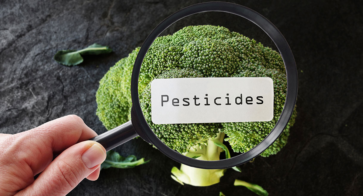 Pesticides Reduce Effectiveness Of IVF