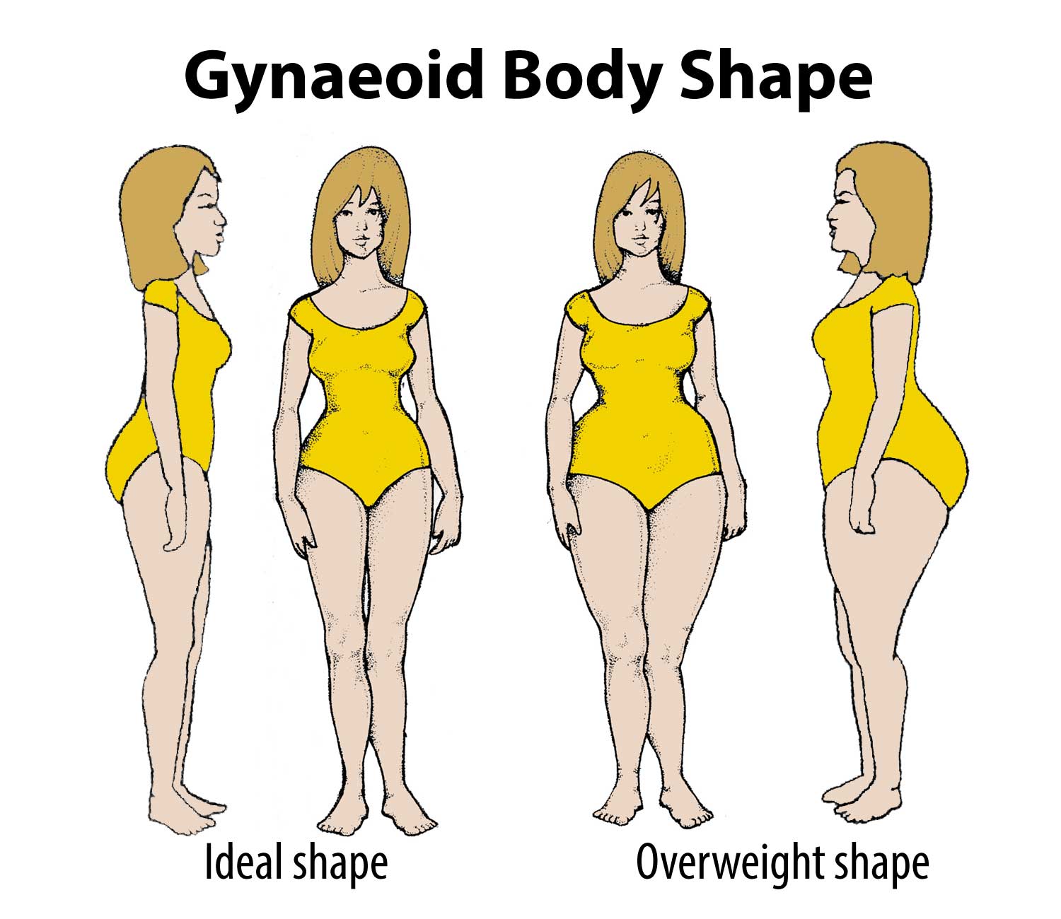 Why does a woman's body shape change during her lifetime? - Surrey  Gynaecology