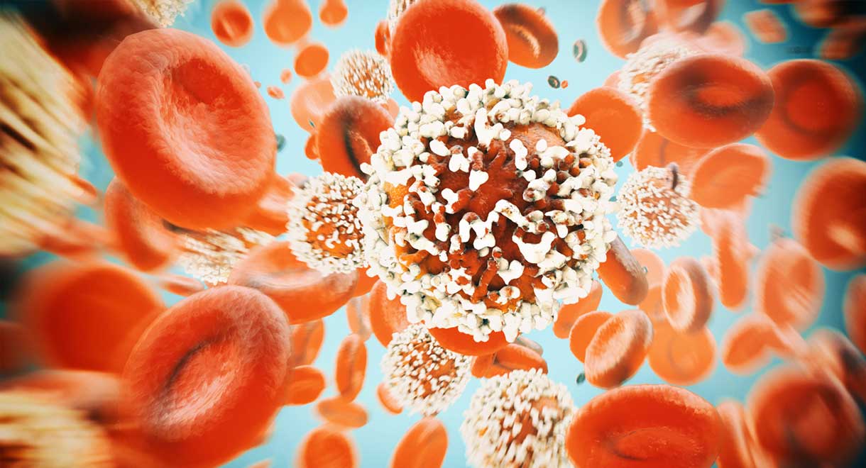 Low White Blood Cells Could Be Weakening Your Immune System