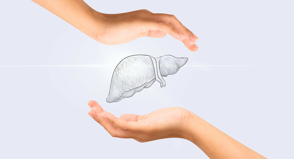 Your Liver Is The Protector Of Your Immune System