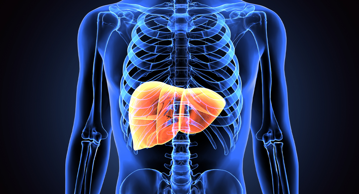 Benefits Of Improving Liver Health And Function