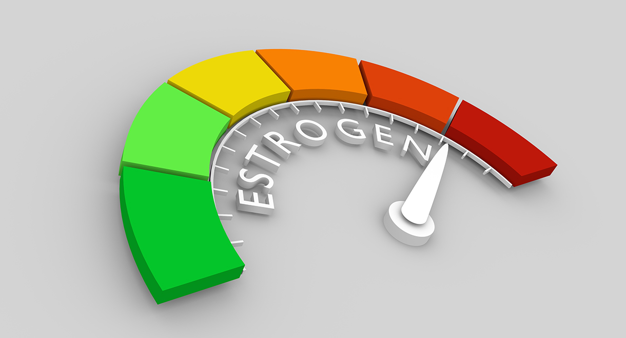 Estrogen Dominance Can Be Caused By An Unhealthy Liver