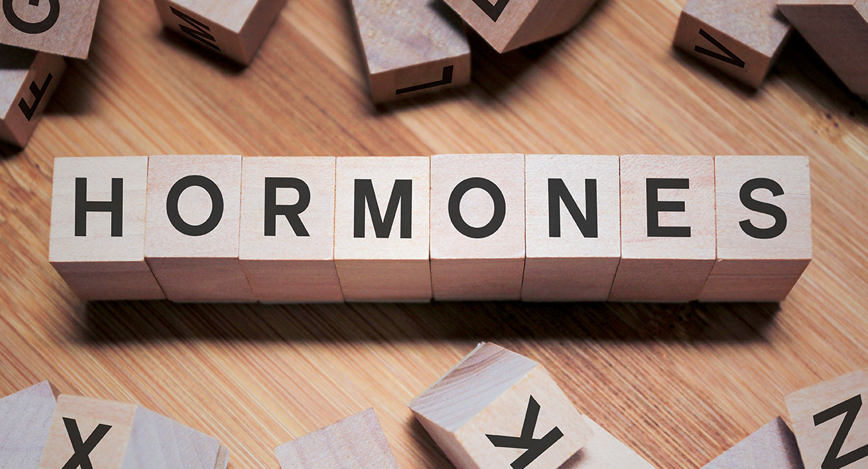 A Guide To Balancing Your Hormones