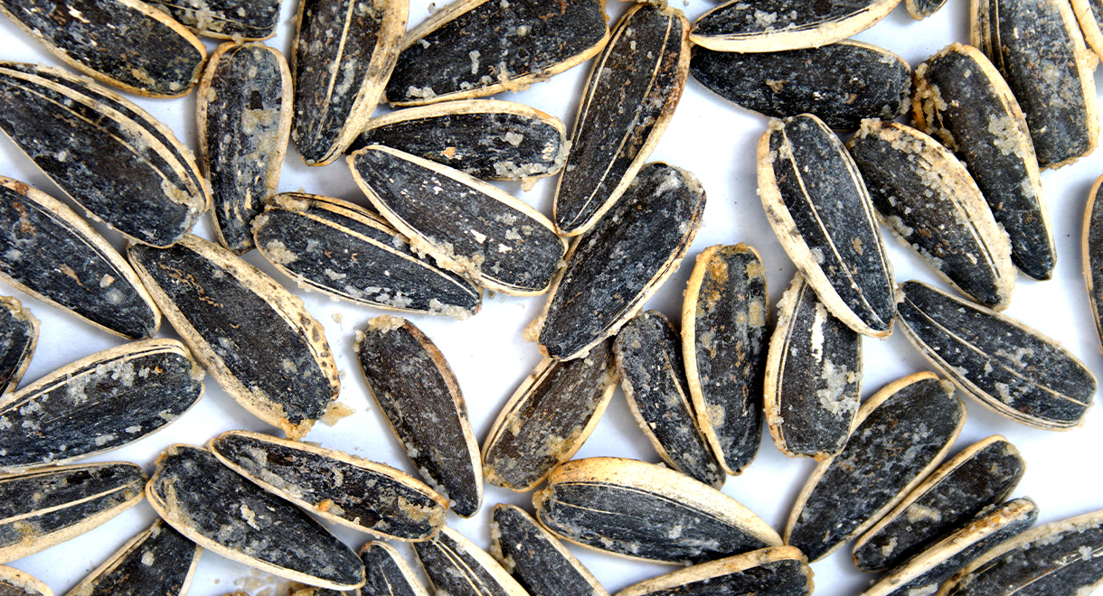Low Carb Roasted Sunflower Seeds