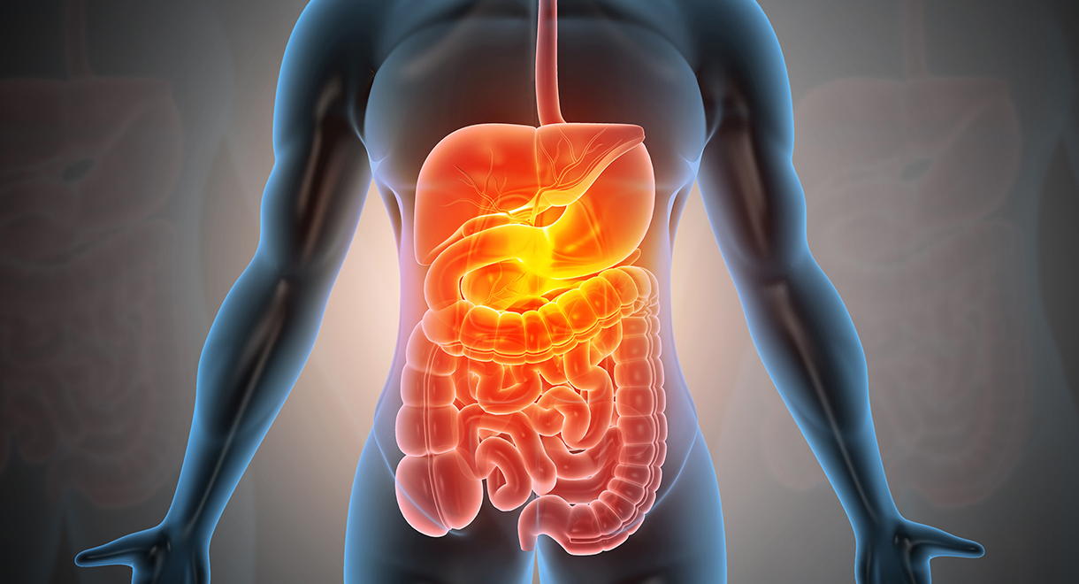 How Is Your Gut Health?