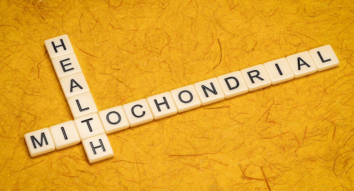 Magnesium Will Make Your Mitochondria More Efficient