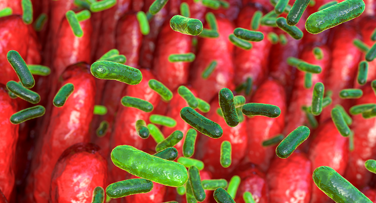 Bad Gut Bugs Can Cause An Under Active Thyroid